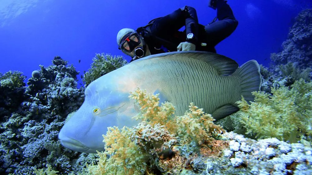 Бухты в Шарм-эль-Шейхе, где песчаные пляжи и пологий вход?