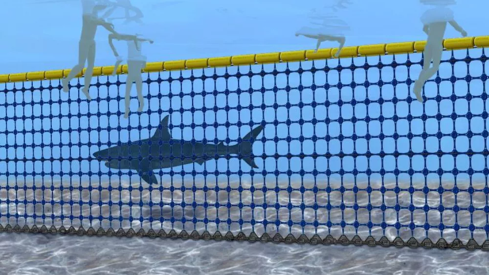 Отели в Хургаде с сетками от акул: безопасность и комфорт вашего отдыха