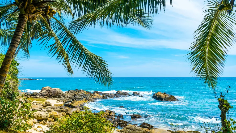 Шри-Ланка в феврале!