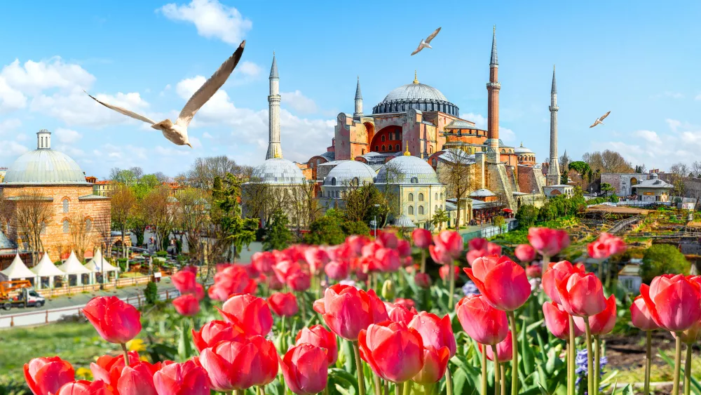 Стамбул в мае из Алматы!