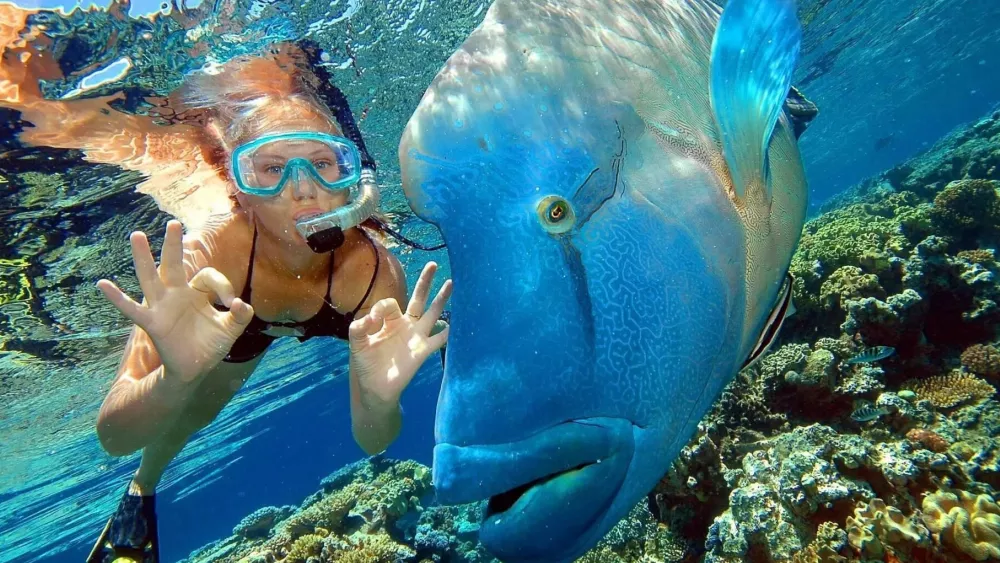 Отдых в Египте из Алматы: Горящие тур на 25.05, 26.05 и Бесплатный Трансфер!