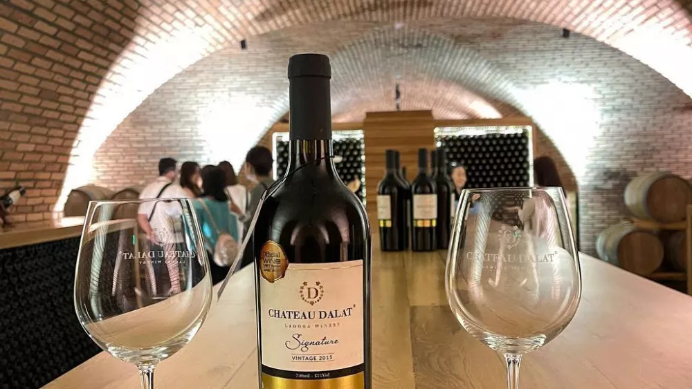 5 Удивительных Фактов о Вьетнамском Вине, Которые Вас Порадуют