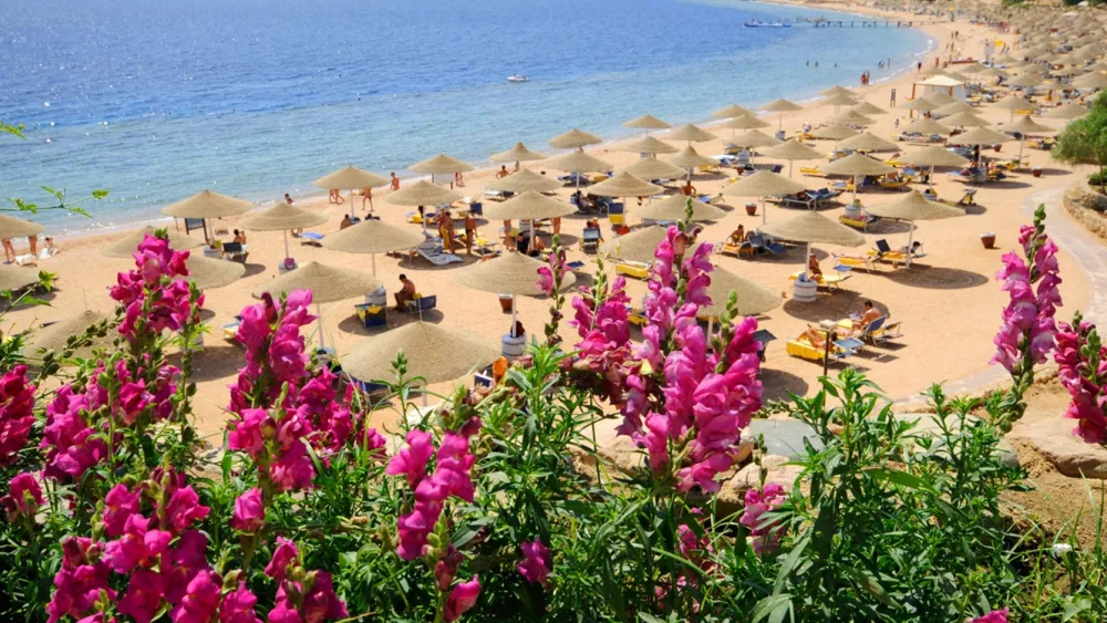 Туры в Domina Coral Bay из Алматы, Шарм-эль-Шейх