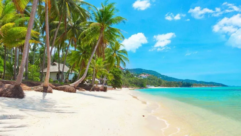 Горящие туры на Самуи